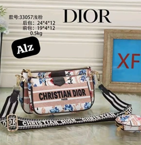 Christian Dior Pochette bag in 2023